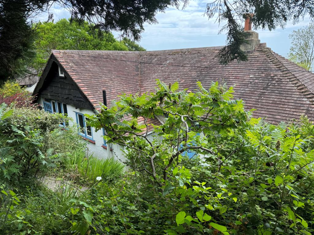 Lot: 117 - FREEHOLD DETACHED HOME WITH SIGNIFICANT STRUCTURAL DAMAGE - A Look at the Front of the Property